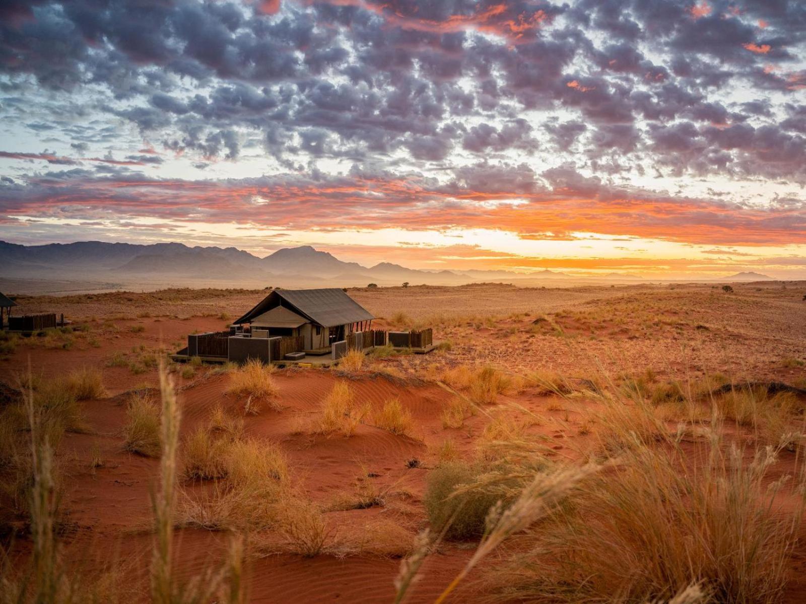 Wolwedans Dune Camp NamibRand Exteriör bild